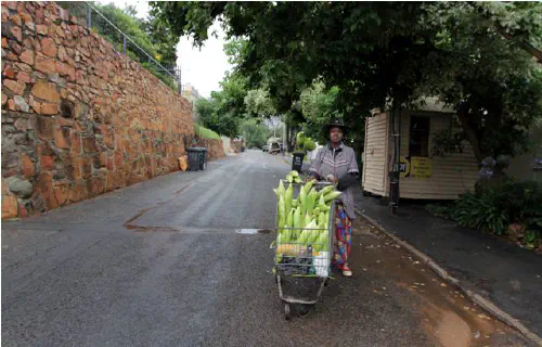 The Mielie Lady in Melville