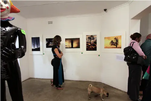 Pug at a photo exhibition