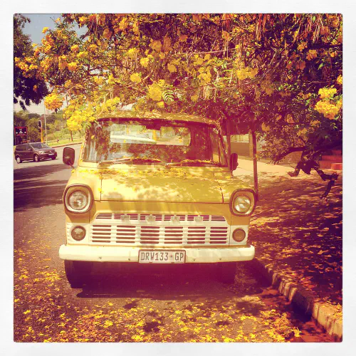 Yellow truck with yellow flowers