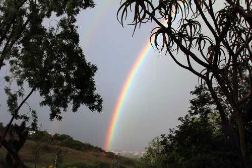 Rainbow in Melville