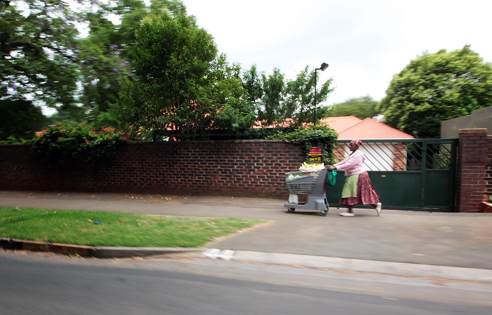 Parkview mielie lady