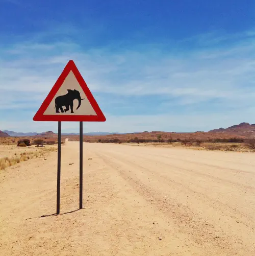 Elephant crossing sign
