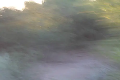 a very blurry photo of a leopard