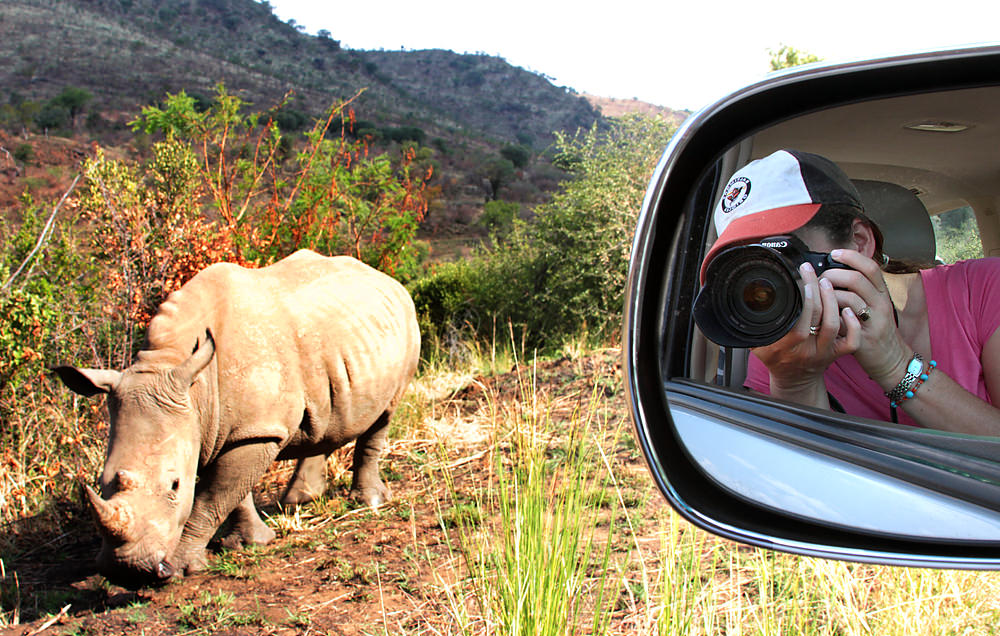 rhino rearview