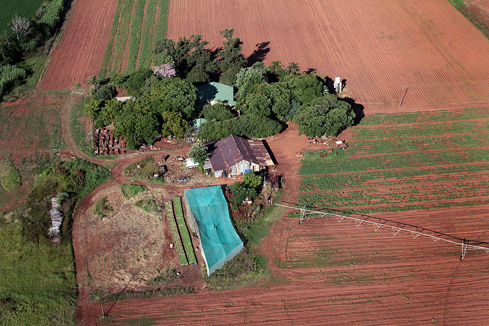 farm