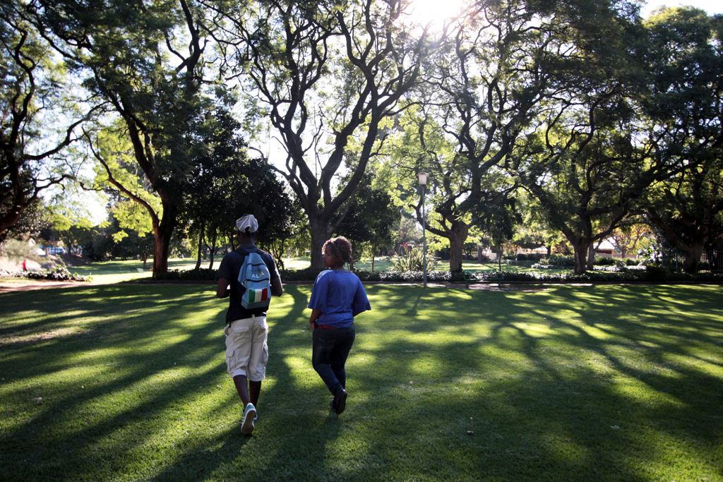 Norwood - Ivy Rd park