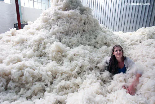 Blogger in pile of wool