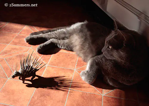Smokey and beaded porcupine