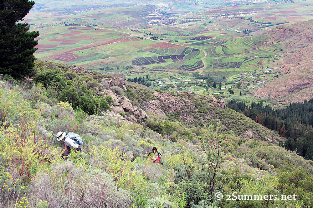 Michelle and Rose climbing