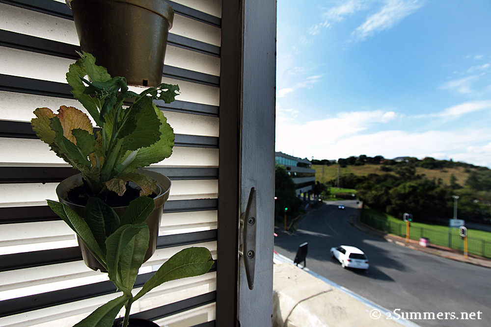 Great Eastern Food Bar wall