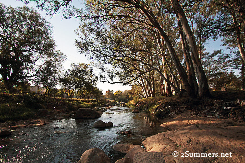 Parkmore - Field and Study river