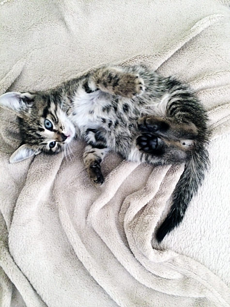 Processed with VSCOcam with se3 preset