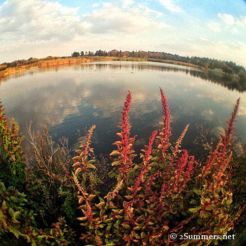 Autumn at Modderfontein