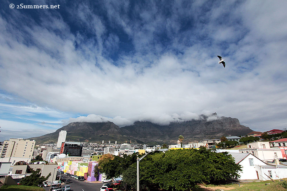 Table Mountain wide
