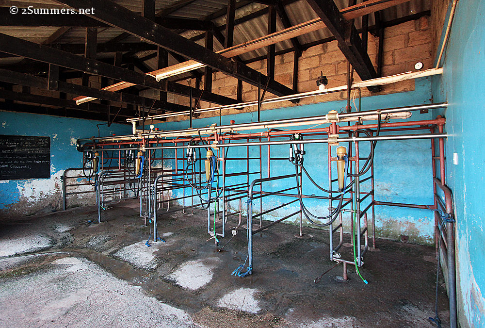 Milking room