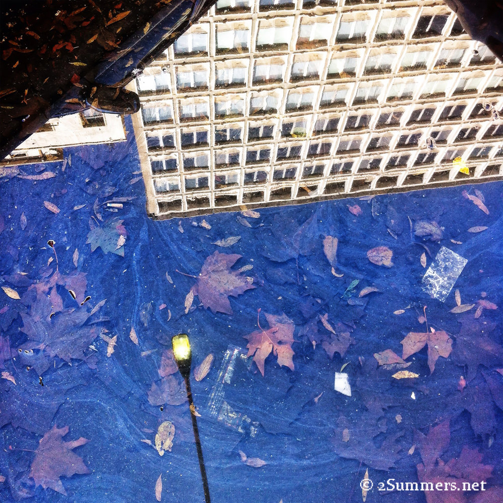 Urban reflection