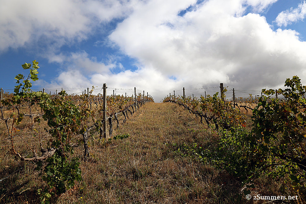 Haut Espoire Vineyard