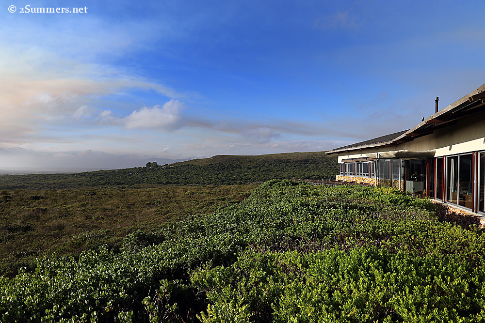 Grootbos forest lodge