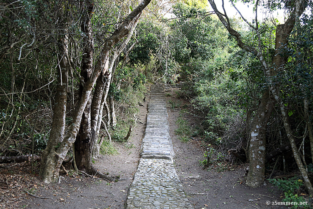 Dweasa steps