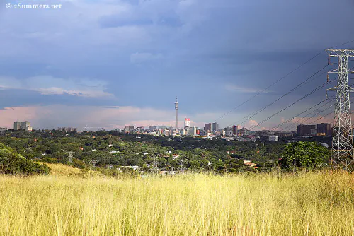 Koppies in summer