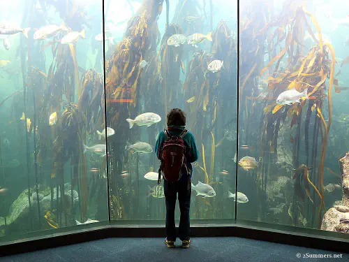 2Summers Logo Featured Post