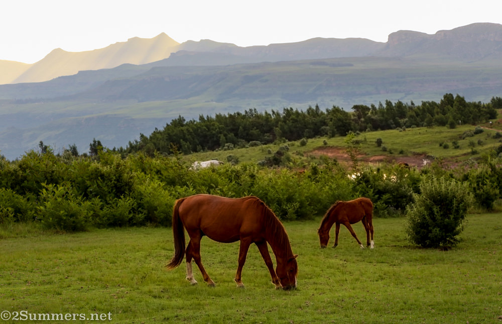 Drakensberg-2494