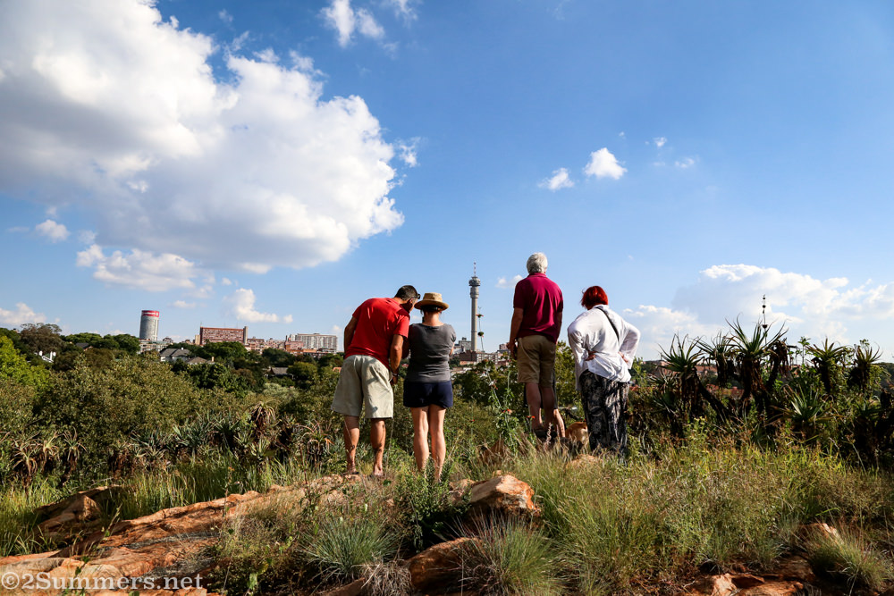 Joburg skyline from the Wilds