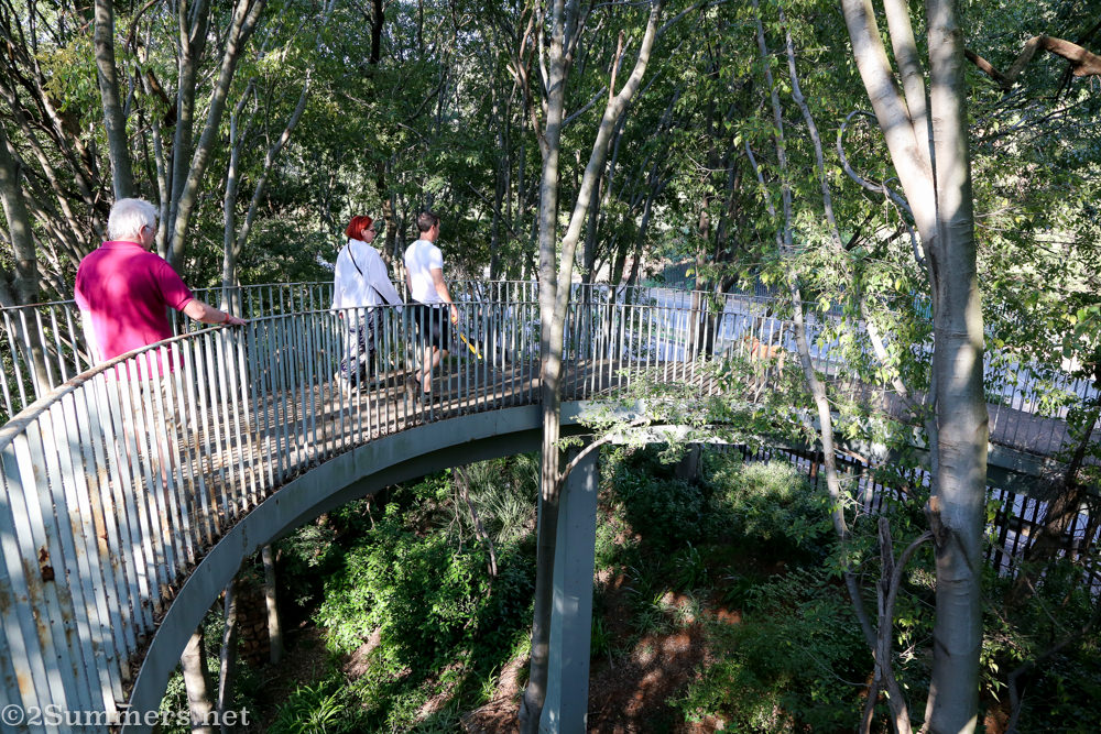 Pedestrian bridge in the Wilds