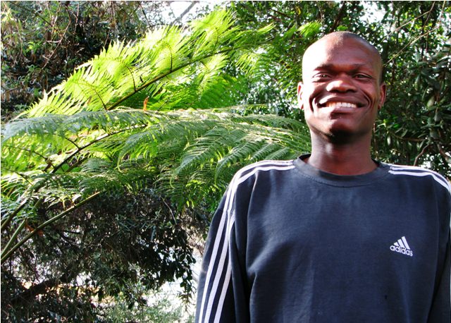 Lucky in the garden, in front of his favorite fern tree.