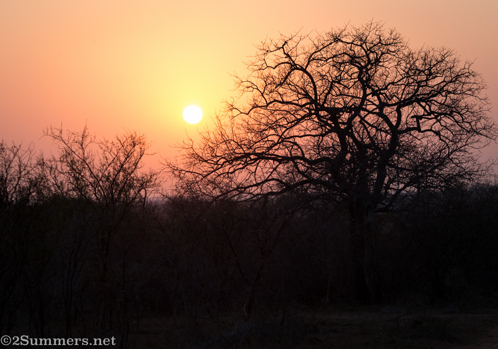 Sunrise in the Timbavati
