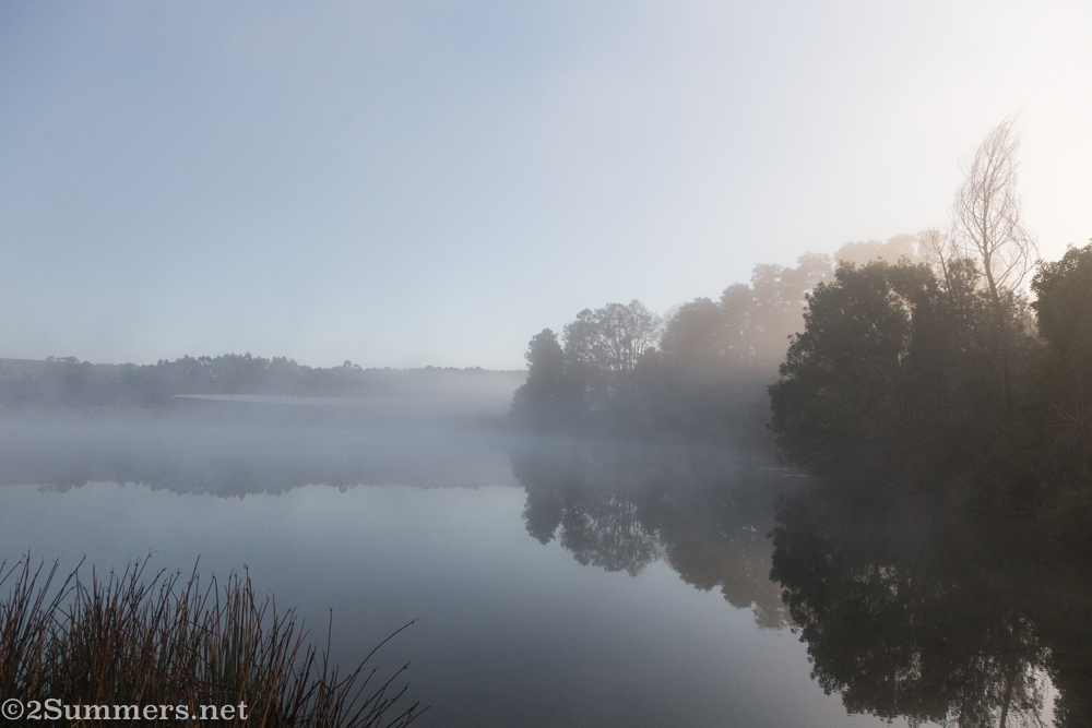 Lake and mist and trees