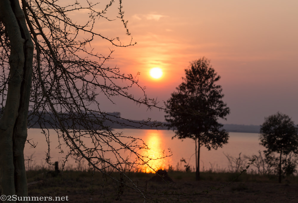 Shulivari sunrise and trees