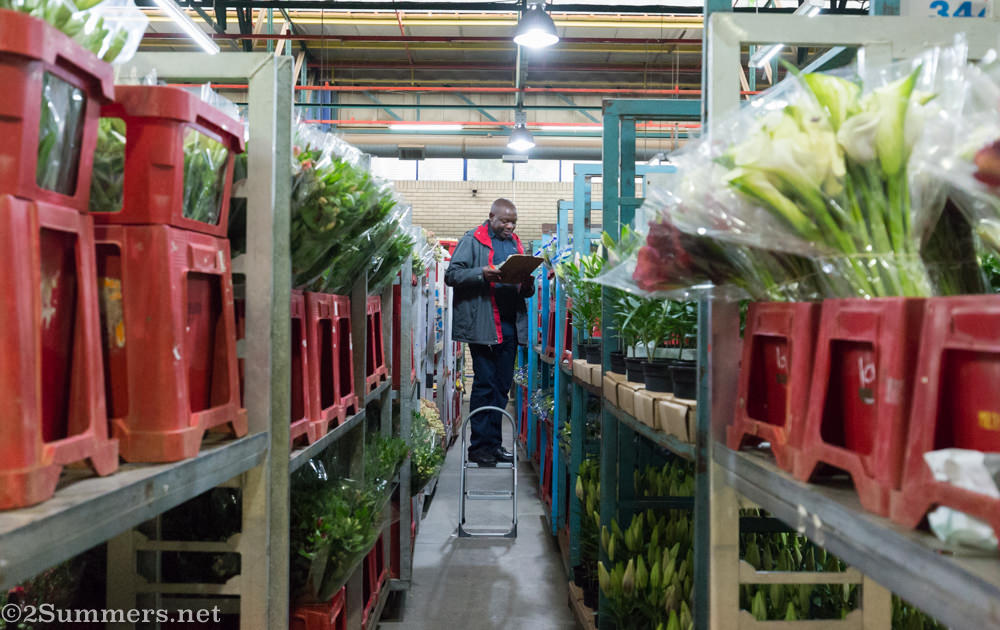 Counting flowers at the Multiflora Market