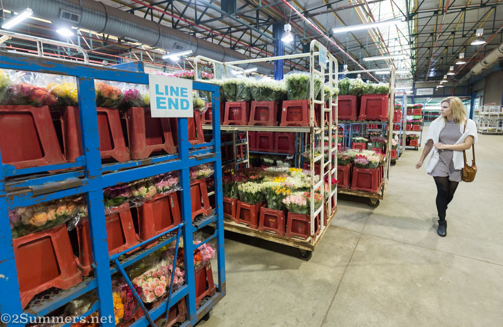 Lady in Multiflora warehouse