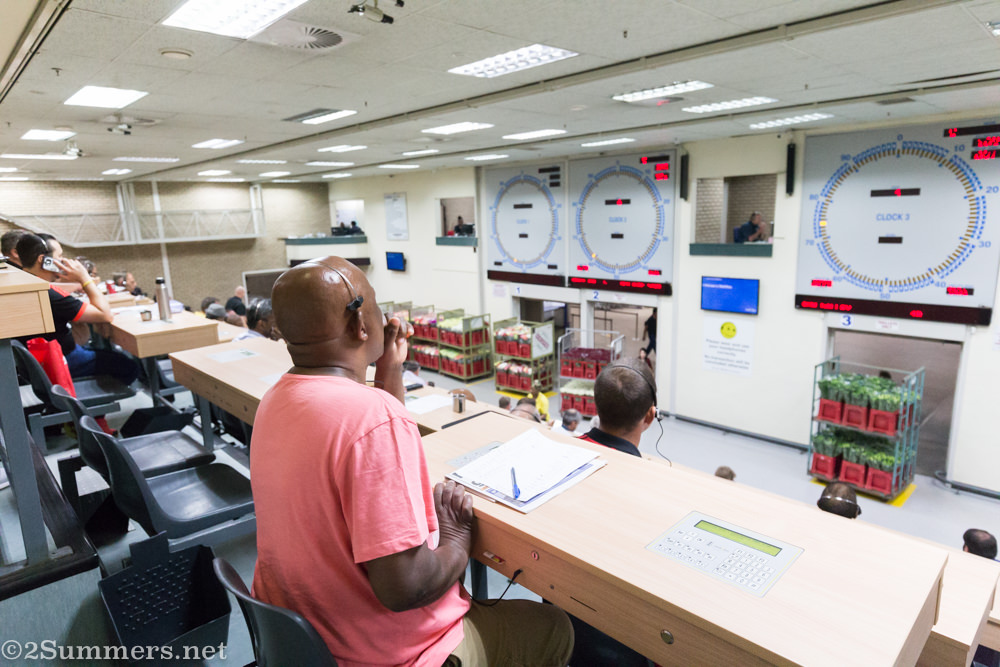 Buyer in auction hall