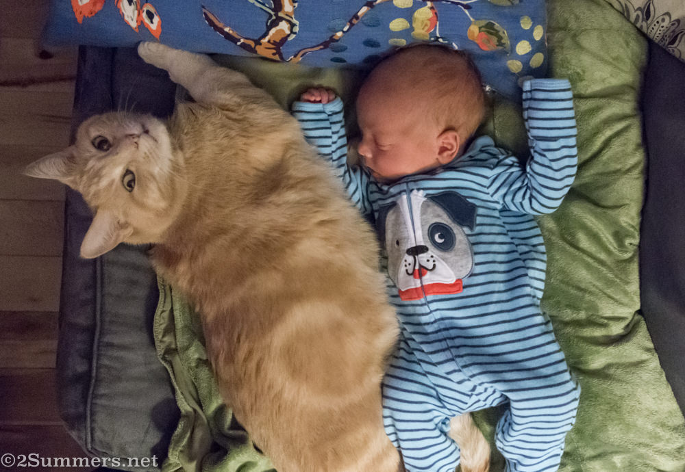 Jack and Scud Missile