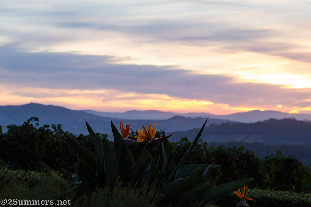 Sunset at Delaire Graff