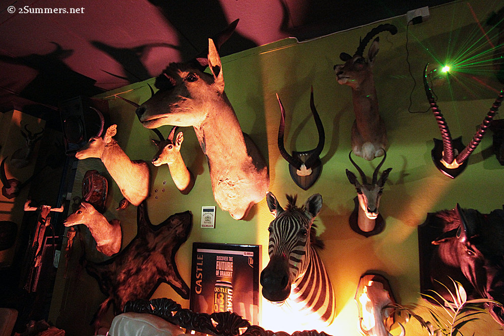 The Zebra Inn at night