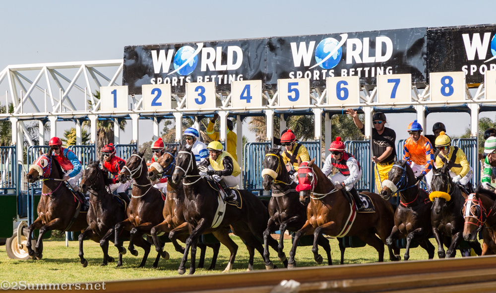 The race start at Turffontein