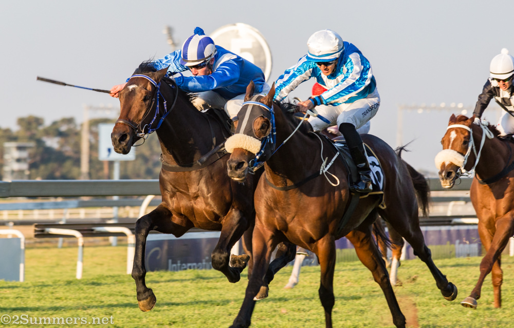 Neck and neck at Turffontein Racecourse