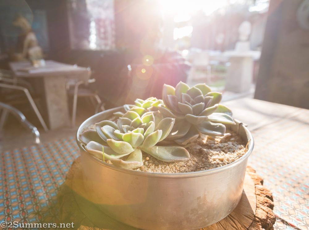Table at the Imagine Cafe