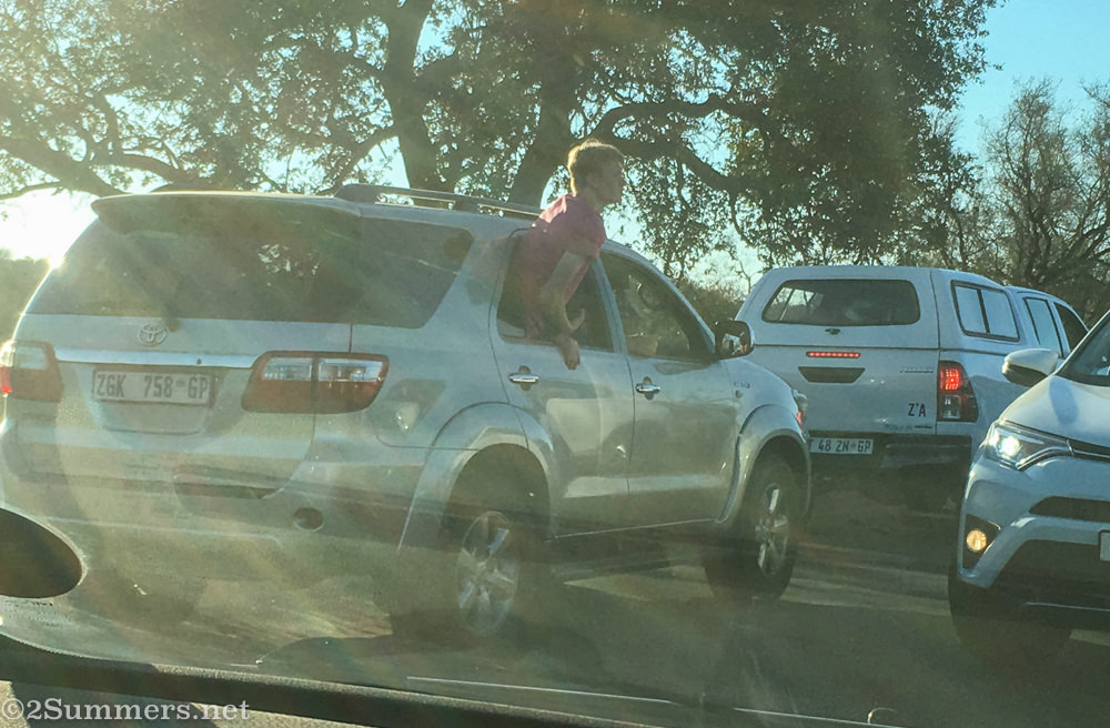 Leaning outside of the car in the Kruger