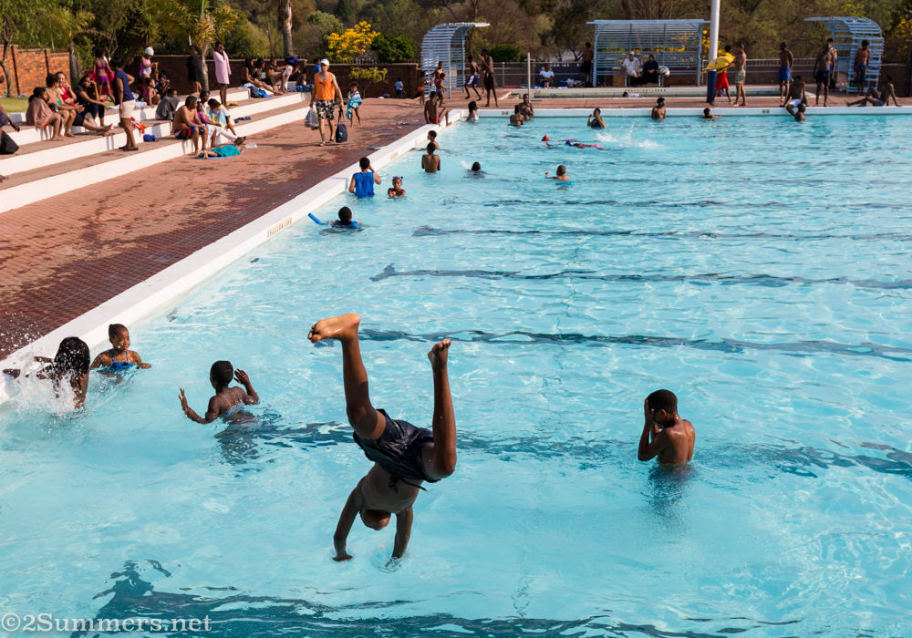 Diving into Zoo Lake pool