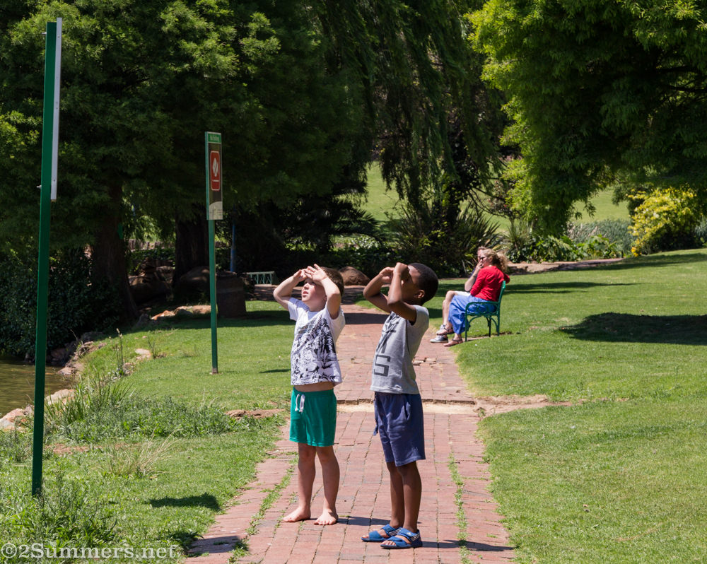 Kids at Rhodes Park