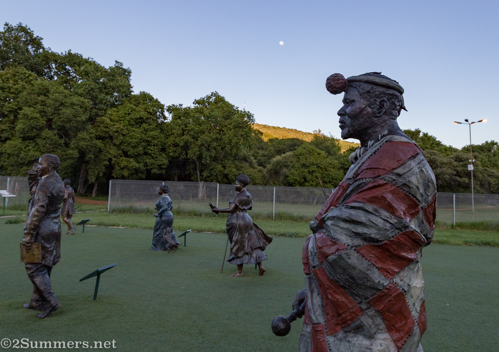 Cetshwayo kaMpande in the Long March to Freedom