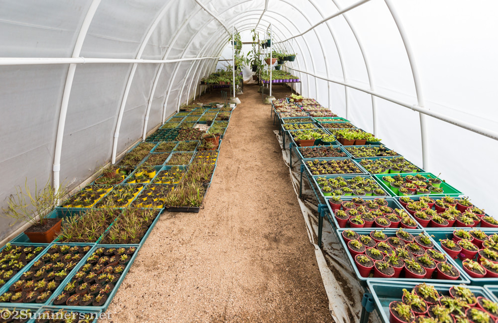 Sun tunnel at Jozi Carnivores