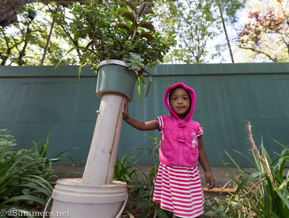 Bonolo in the garden