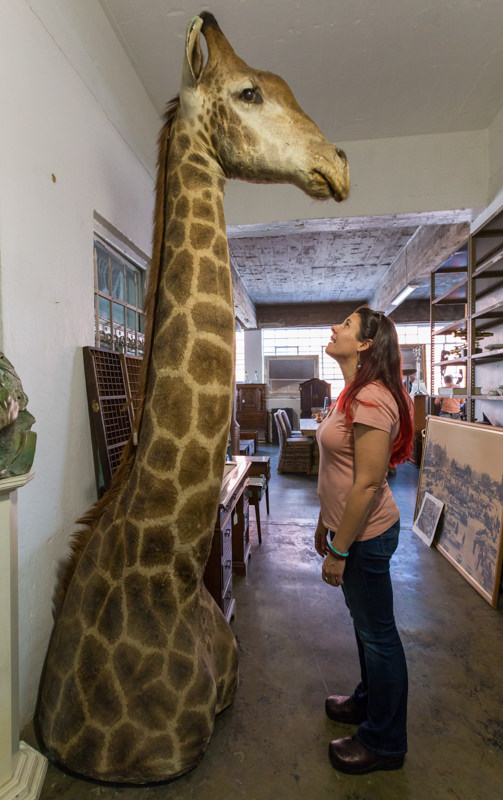 Heather and a stuffed giraffe