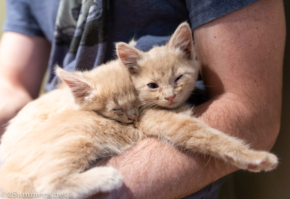 Trixie and her sister