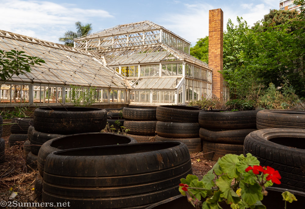 Joubert Park greenhouse in downtown Joburg